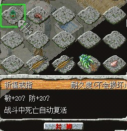 .jpg